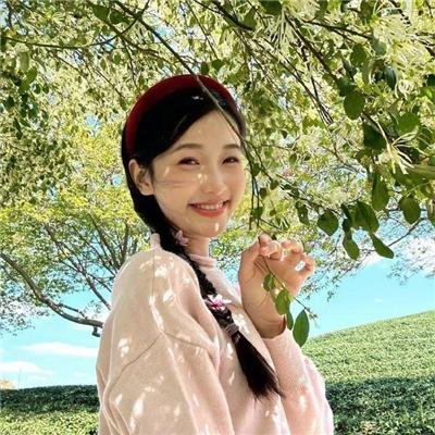 警察与女兵国语
